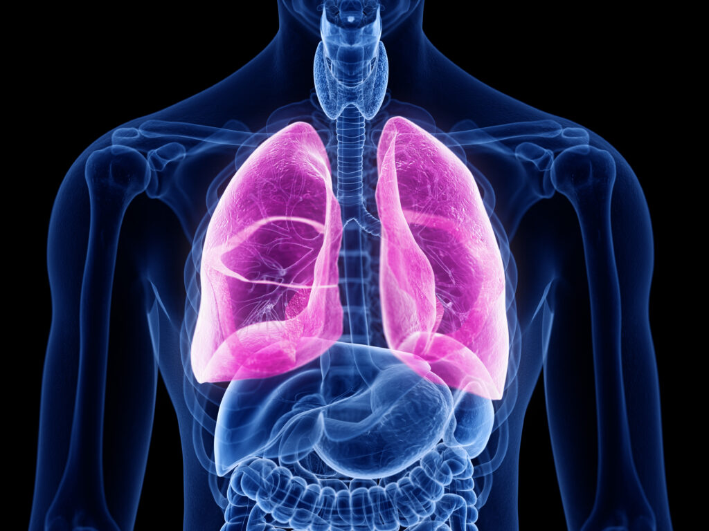 vertex pharmaceuticals cystic fibrosis stock