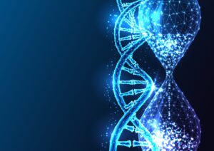 Who Wins if Aging is Dead? Longevity stock analysis.